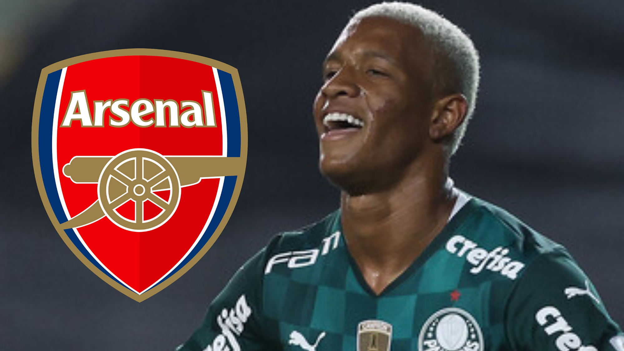 数据分析:帕尔梅拉斯历史战绩与本届展望 数据分析:帕尔梅拉斯历史战绩与本届展望