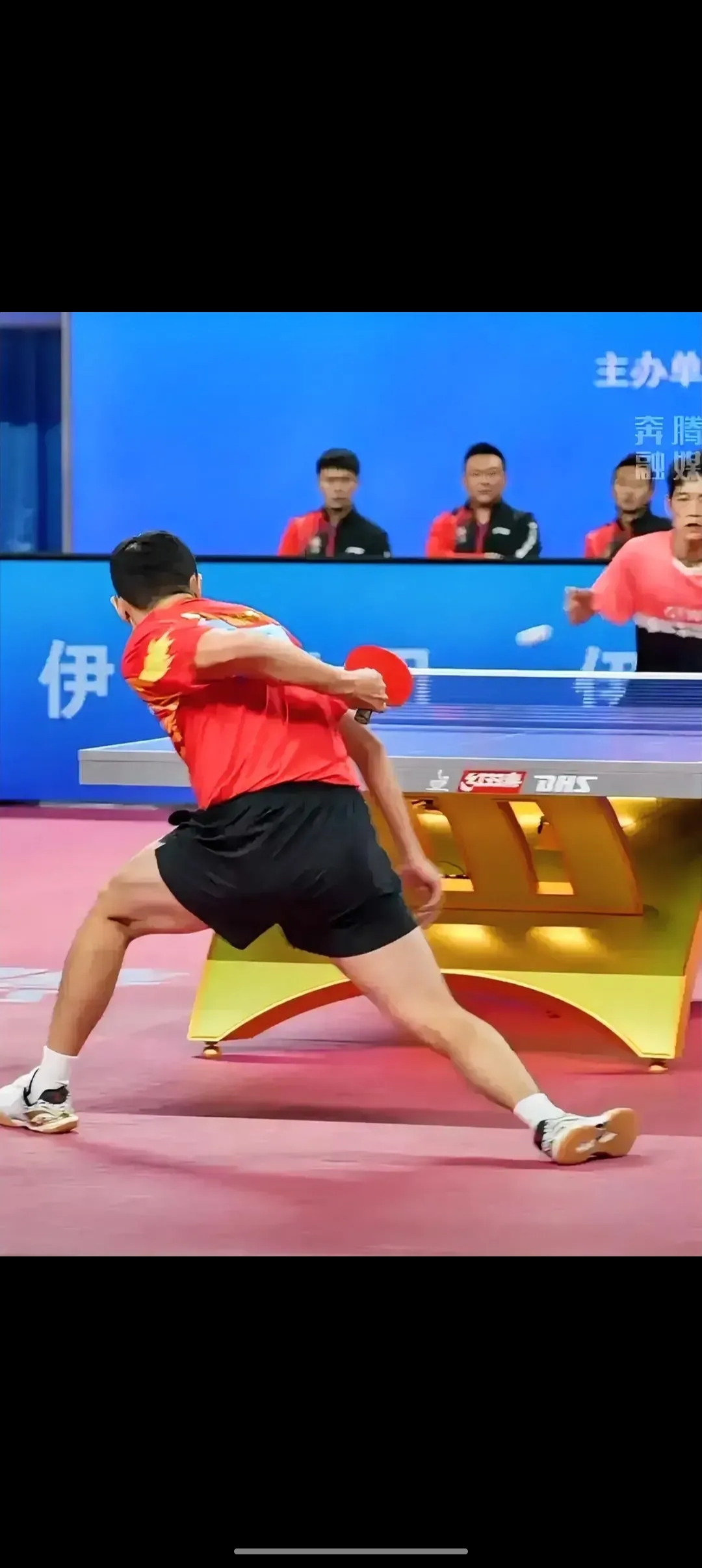 包含奥地利乒乓球队鏖战韩国乒乓球队，许昕制霸全场的词条