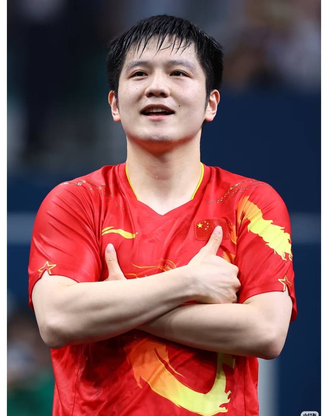 关于中国乒乓球队逆转瑞典乒乓球队，樊振东绝境逆转的信息