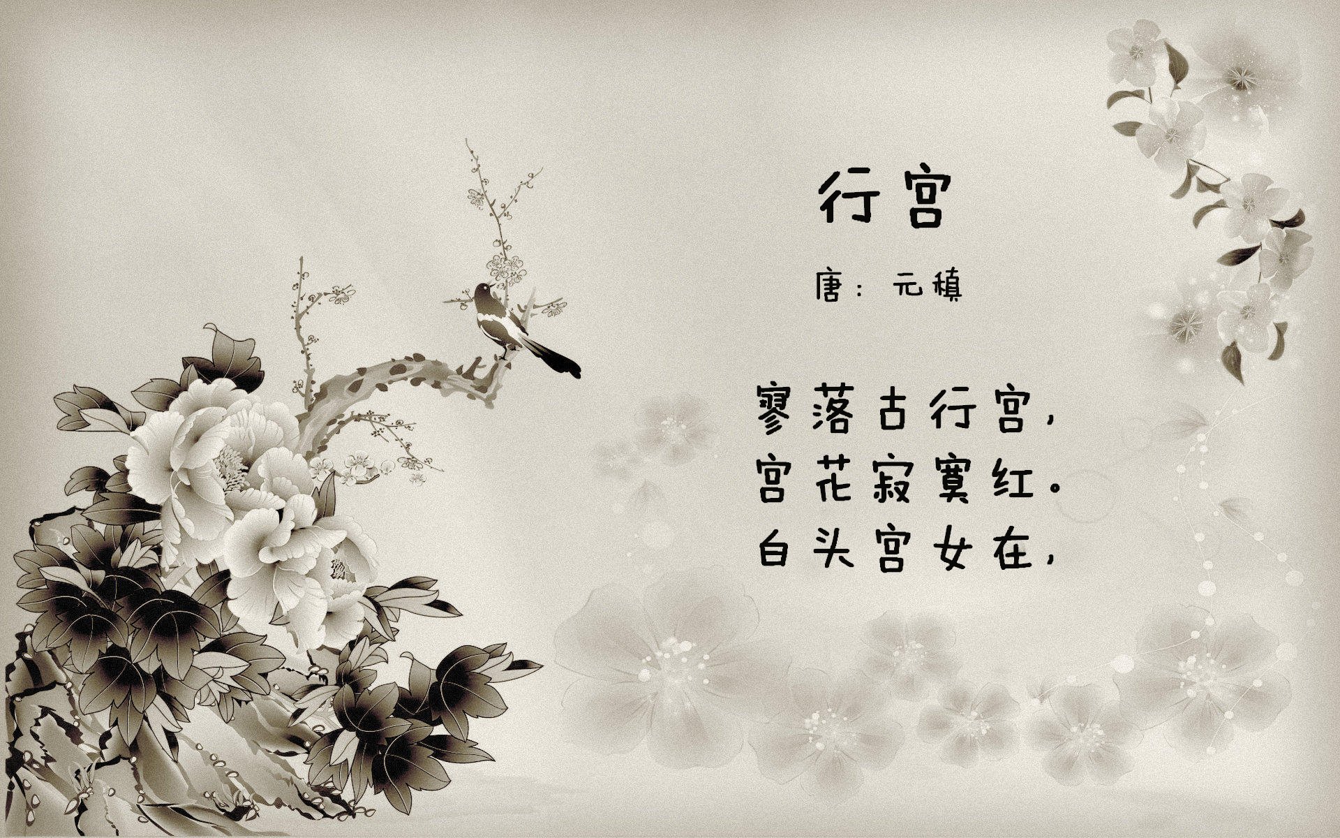 突破封锁的证明，弗拉霍维奇如何在勒沃库森阴影下闪耀