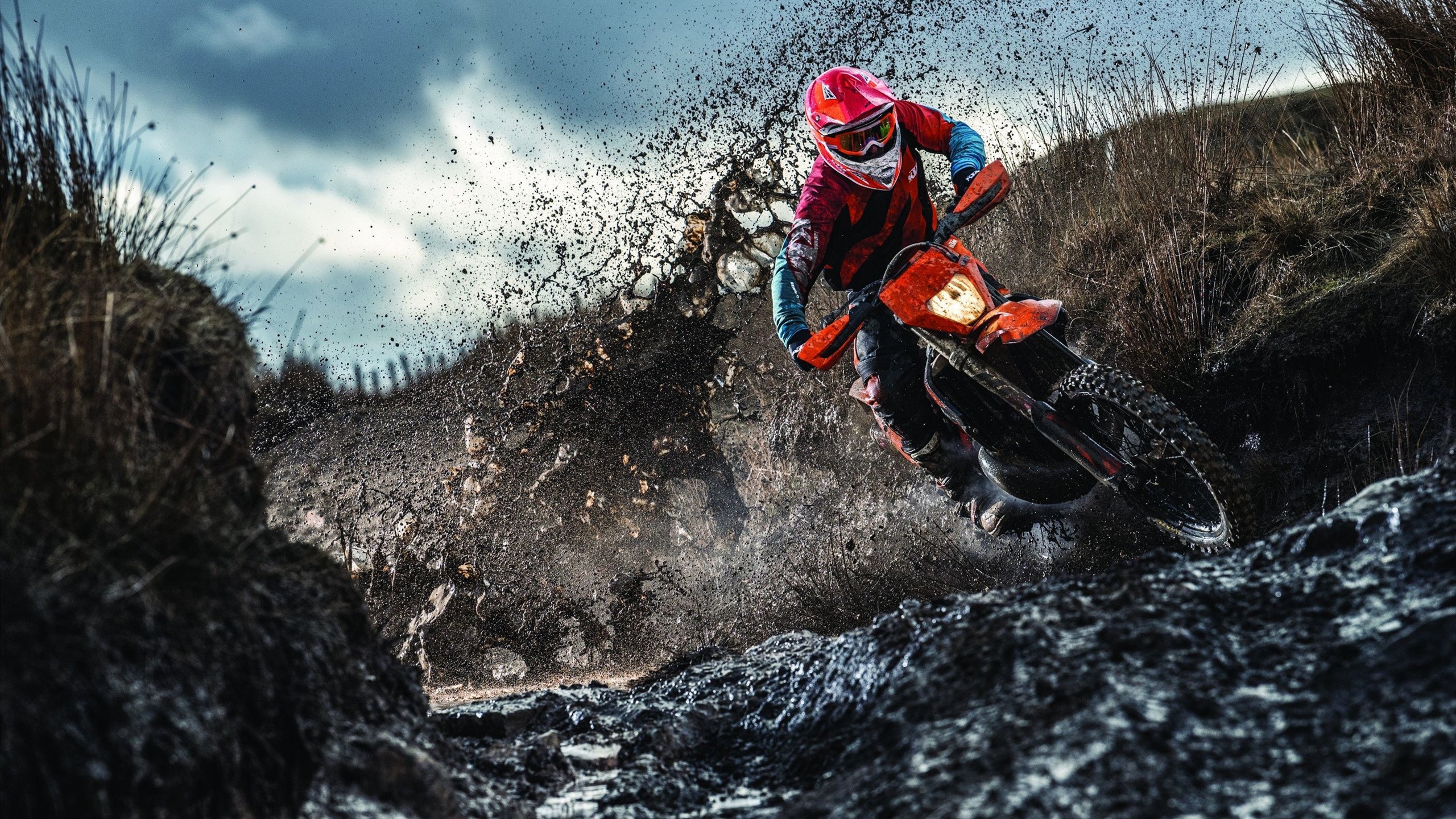 维尼修斯闪耀引爆锋线革命,塞内加尔强势开局显非洲雄狮獠牙